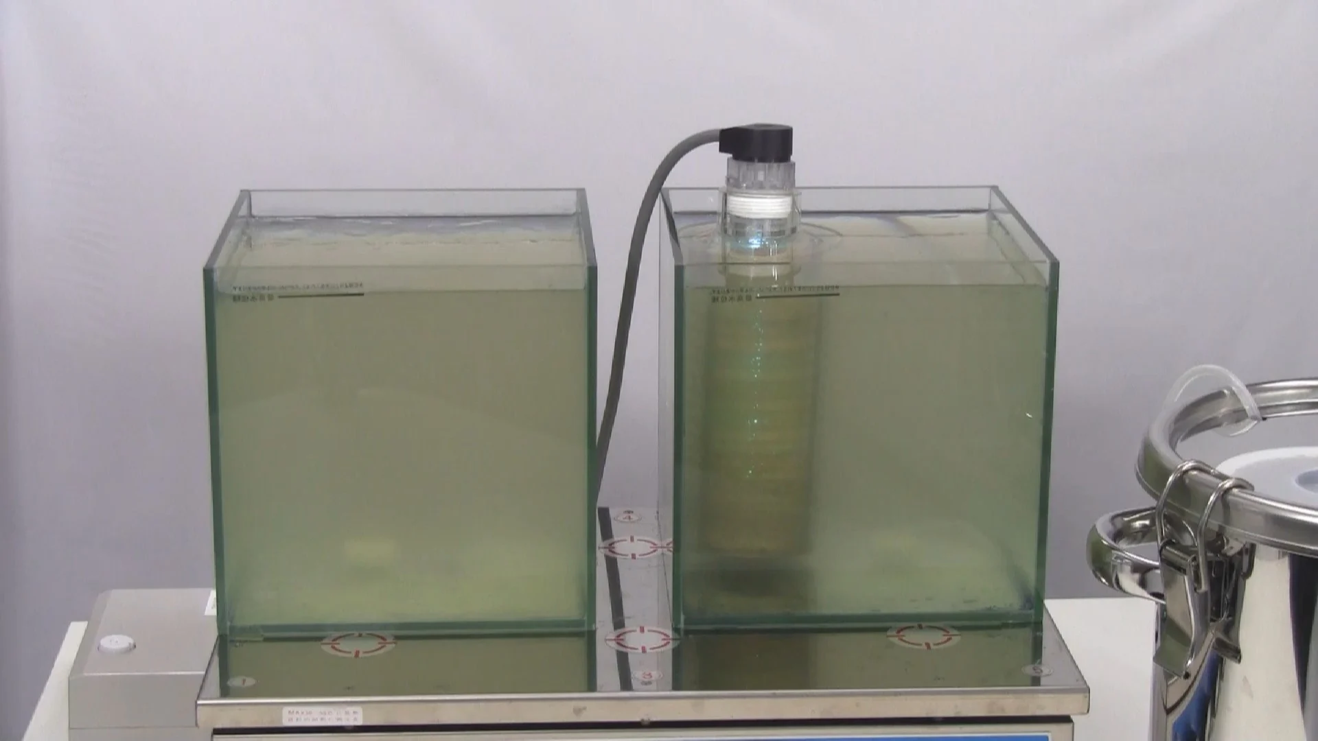 ため池浄化試験 24時間後の透明な水